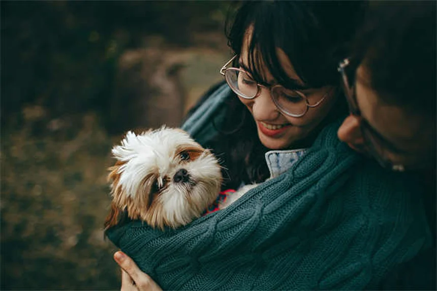 Why Dogs Developed Puppy Dog Eyes: The Science Behind Their Irresistible Look